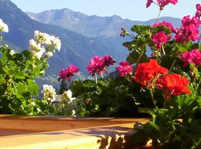 a bunch of flowers on a ledge with mountains in the background at Waldoase in Schenna