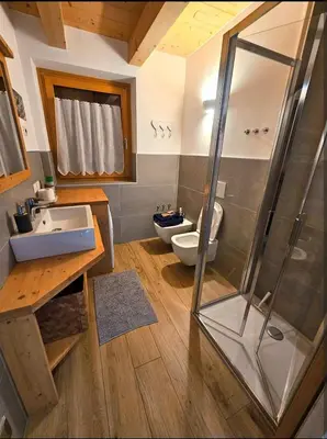 a bathroom with a shower and a sink and a toilet at Tabià sui Prati- Appartamento bilocale in Falcade