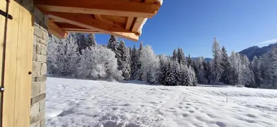a view of a snow covered field with trees at Tabià sui Prati- Appartamento bilocale in Falcade