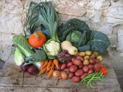 a bunch of fruits and vegetables on a table at Bauernhof Hof Unternberg in Magrè allʼ Adige