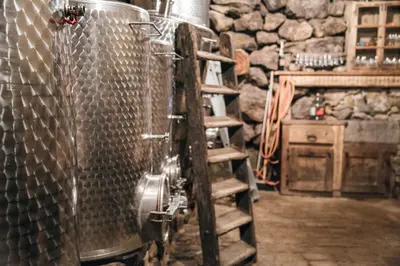a room with a ladder next to a wine barrel at Huber unterm Baum in Lagundo