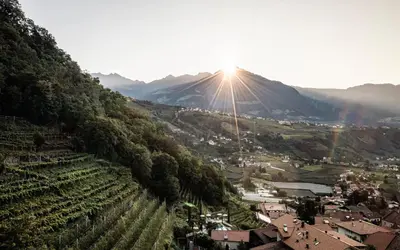 a view of a valley with the sun shining on a mountain at Huber unterm Baum in Lagundo