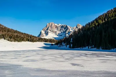 a view of a snow covered mountain with trees at CASA BERNARD Zortea VANOI cuore verde del Trentino in Canale San Bovo