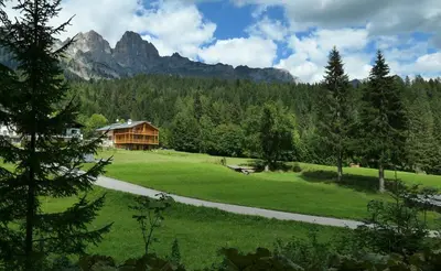 a house in the middle of a green field with a road at Tabiá sui Prá - appartamento monolocale Anna in Falcade