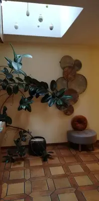 a plant on the wall in a room at Ferienwohnungen St Hippolyt mit Hallenbad in Lagundo