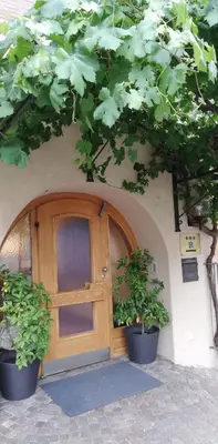 a wooden door with two potted plants in front of a building at Ferienwohnungen St Hippolyt mit Hallenbad in Lagundo