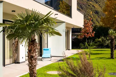 a palm tree in front of a building with a blue chair at Garden Lodge in Gargazzone