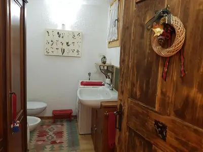 a bathroom with a sink and a toilet at Ronchet Baita Vanoi Trentino in Ronco