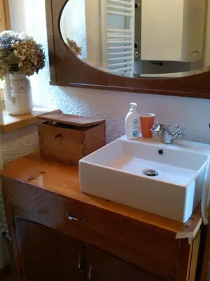 a bathroom with a white sink and a mirror at Ronchet Baita Vanoi Trentino in Ronco