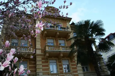 a building with a flowering tree in front of it at Hotel Villa Westend in Merano