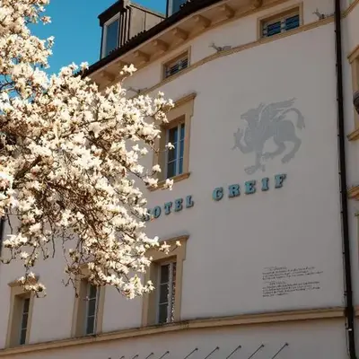 Hotel Greif
