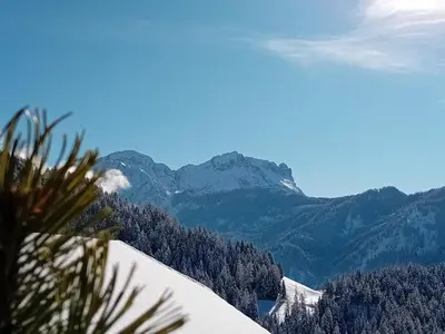 a view of a snowy mountain with trees and mountains at Lü de Terza in San Vigilio Di Marebbe