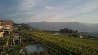 a view of a vineyard with a pool in the middle at Plattenriegelhof in Appiano sulla Strada del Vino