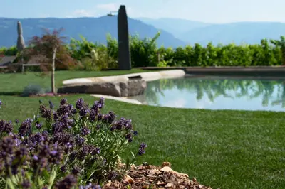 a garden with purple flowers next to a swimming pool at Plattenriegelhof in Appiano sulla Strada del Vino