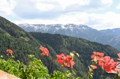 a view of a mountain valley with red flowers at Gasthof Jägerheim in Bressanone