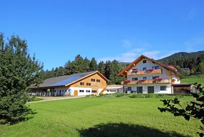 a group of buildings in a grassy field with trees at Stiflerhof in Falzes