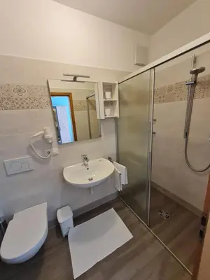 a bathroom with a toilet and a sink and a shower at Gasserhof Bozen in Bolzano