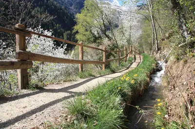 a wooden fence on a path next to a river at Appartements Residence Ganthaler in Rablà