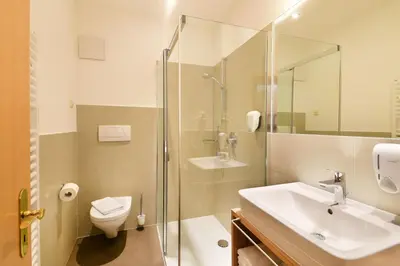 a bathroom with a sink and a toilet and a shower at Ansitz Gamp in Chiusa