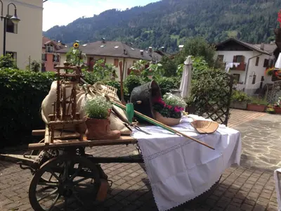a field of flowers in front of a church with a mountain at Casa Gabriella in Fiera di Primiero