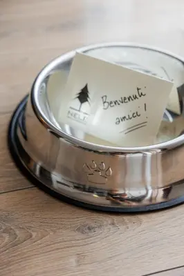 a metal bowl with a piece of paper in it at Residence Nele in Ziano di Fiemme