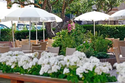 a group of chairs and flowers with umbrellas at Hotel Nele in Ziano di Fiemme