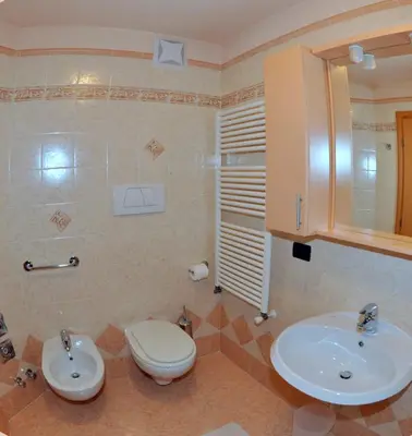 a bathroom with a toilet and a sink at Casa Fior del Soreie in Pozza di Fassa