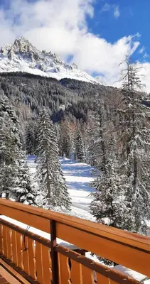a view of a snow covered mountain from a balcony at Lärchenheim in Obereggen