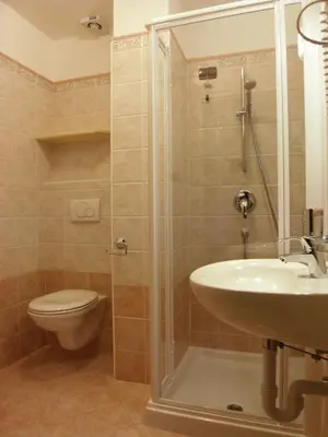 a bathroom with a shower and a sink and a toilet at Hotel L'Ideale in Moena