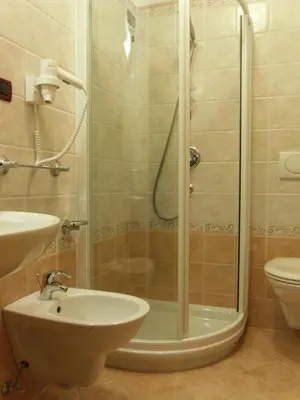 a shower with a sink and a toilet in a bathroom at Hotel L'Ideale in Moena