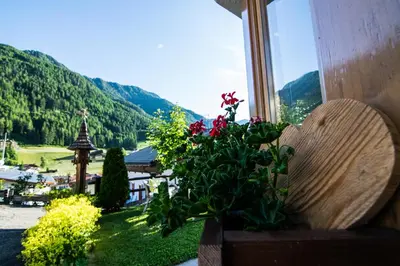 a bench with a plant in a window with a view at Cesa Sara in Ortisei