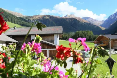 a group of flowers in front of a building at Ferienwohnungen Unterangerhof in Quinzo