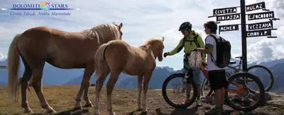 a man and a woman standing next to a horse at Miralago in Alleghe