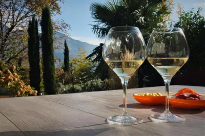 two glasses of white wine sitting on a wooden table at La Vista - Apartment mit Traumblick & Garten in Marlengo