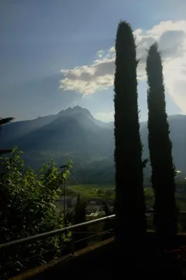 a group of cypress trees in front of a mountain at La Vista - Apartment mit Traumblick & Garten in Marlengo