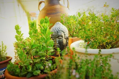 a statue of a head sitting next to potted plants at La Vista - Apartment mit Traumblick & Garten in Marlengo