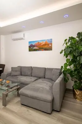 a living room with a gray couch and a potted plant at Imperial Deluxe in Merano