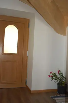 a room with a door and a plant in front of it at LA CIESA DEI SIORI in Alleghe