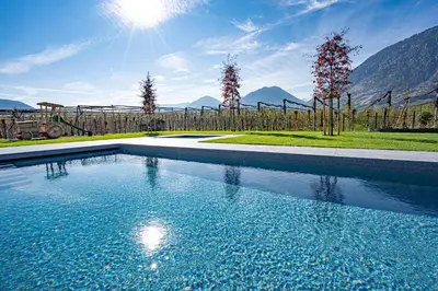 a swimming pool in front of a fence with mountains at Auhof in Merano