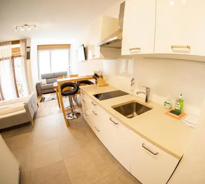 a kitchen with a sink and a counter top at Flow Apartments Astoria in Merano