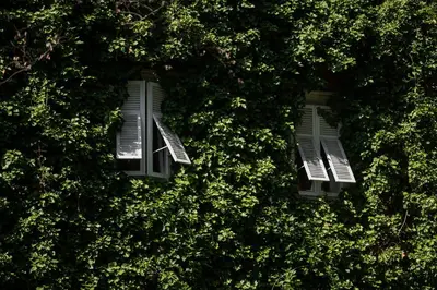 an overhead view of a tree with two shutters at Parkhotel Mondschein, a Member of Design Hotels in Bolzano