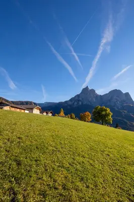 a green field with a tree and mountains in the background at Treffhof in Siusi