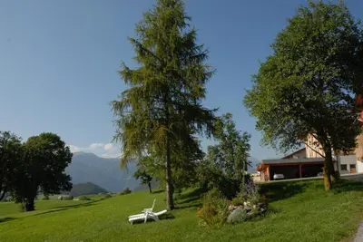 a house on a hill with a bench and trees at Treffhof in Siusi