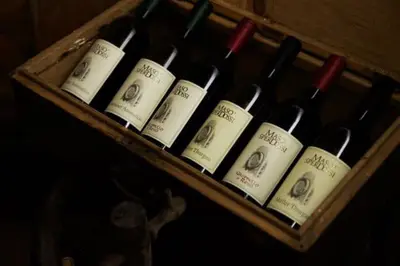 a bunch of wine bottles in a wooden box at Agritur Maso Forcola in Brez
