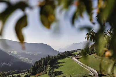 a winding road on a hill with mountains in the background at Wargerhof - Urlaub auf dem Bauernhof in Meltina