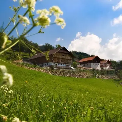 Wargerhof - Urlaub auf dem Bauernhof
