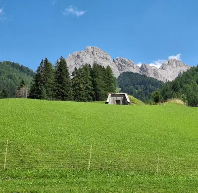 a field with a barn in the middle of a mountain at Villa Sella in Selva di Val Gardena