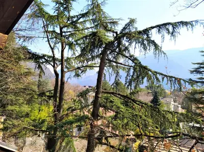 a view from a window of a tree at TORRE GARDEN HOME - casa singola nella città di Bolzano con giardino privato in Bolzano