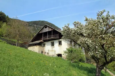 an old building on a hill with a tree at Pirchnerhof in Longomoso