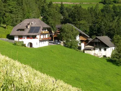 a house on a hill with a green field at Pirchnerhof in Longomoso